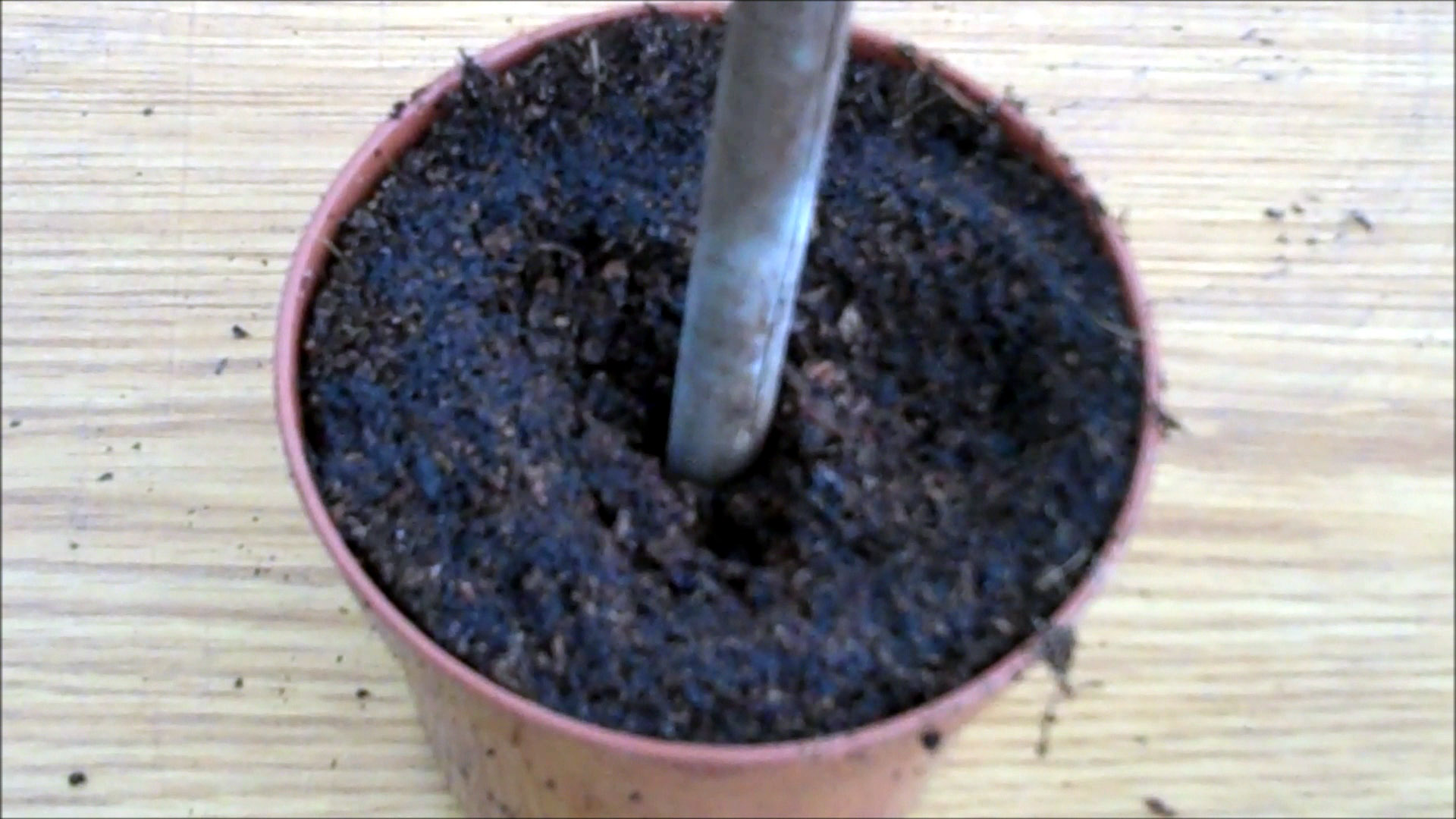make a hole in compost compost