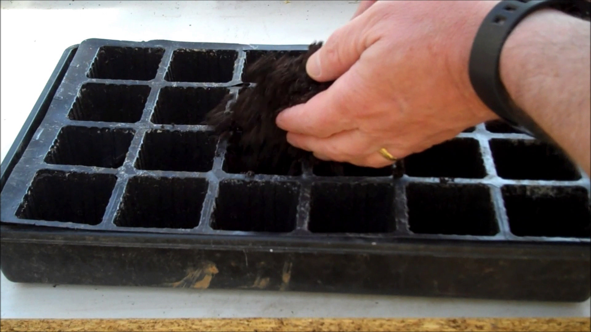 fill tray with compost