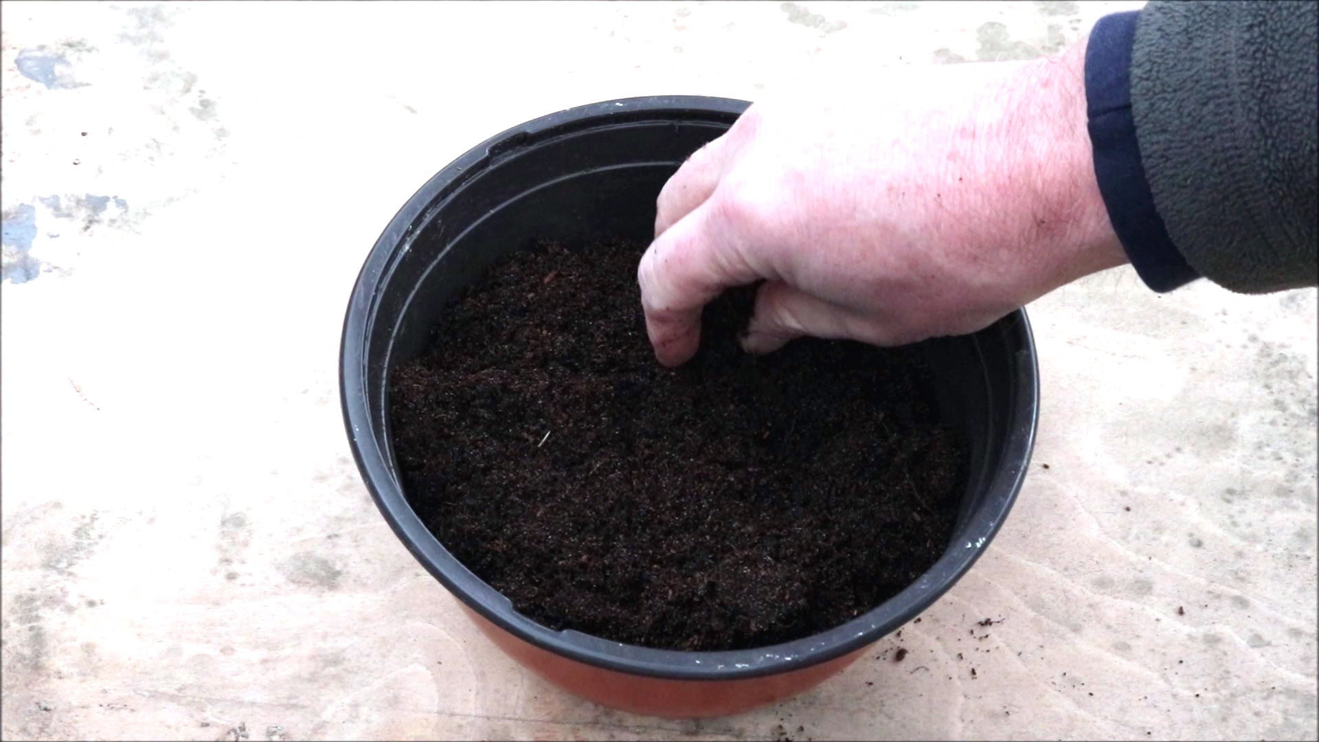 fill pot with compost