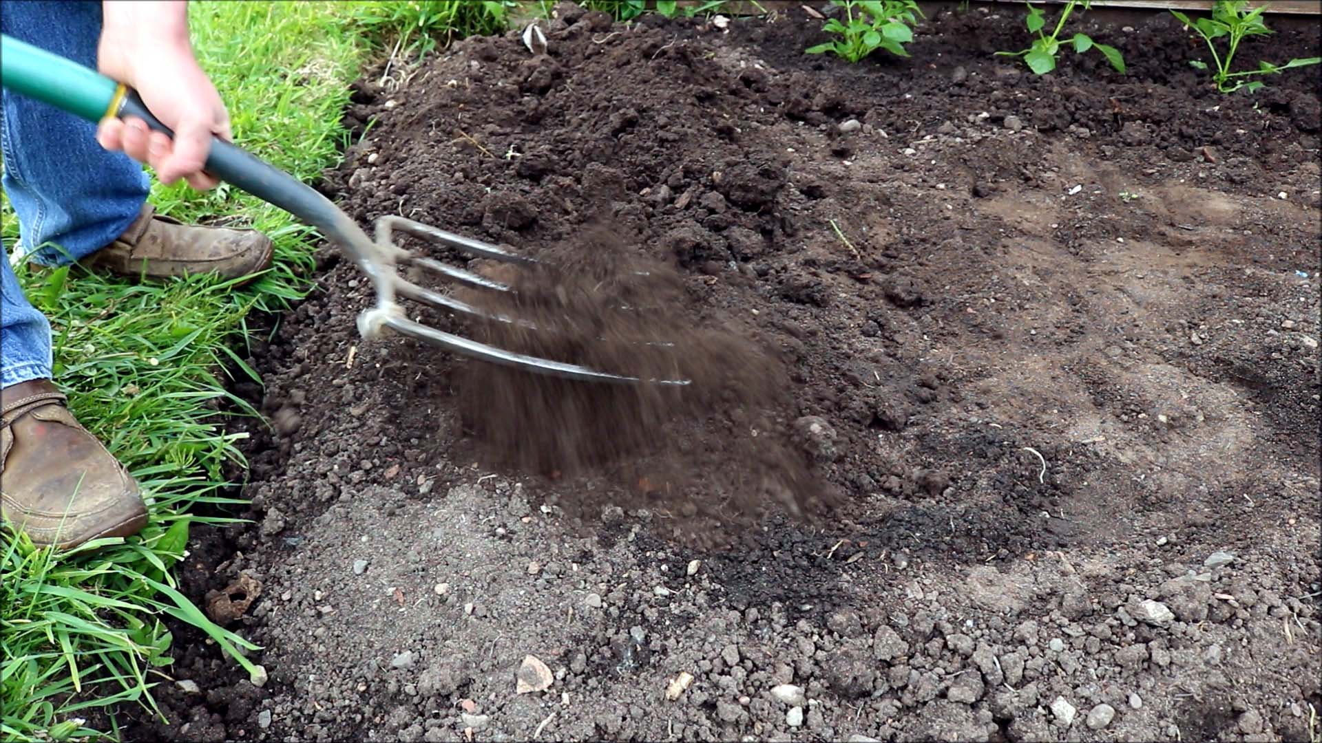 dig soil