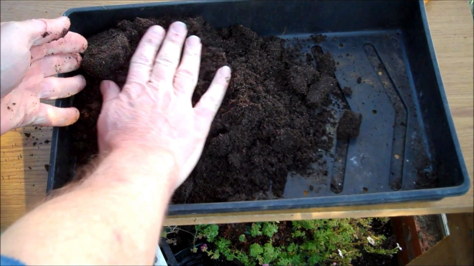 fill with compost
