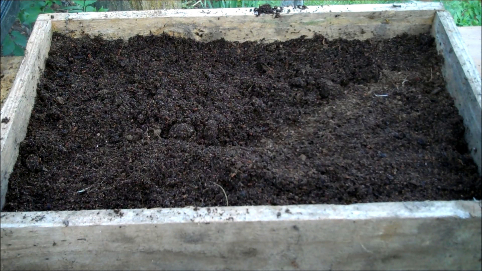 fill tray with compost