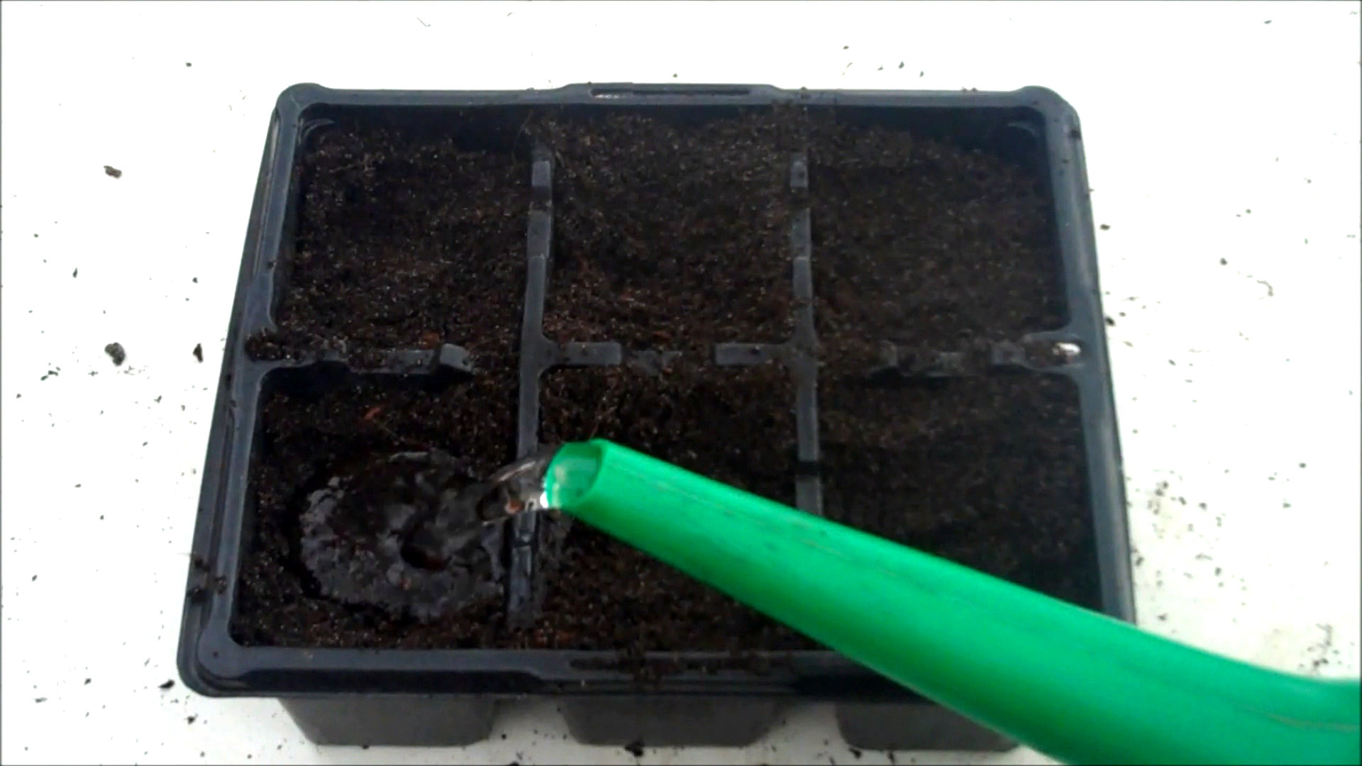 water the compost